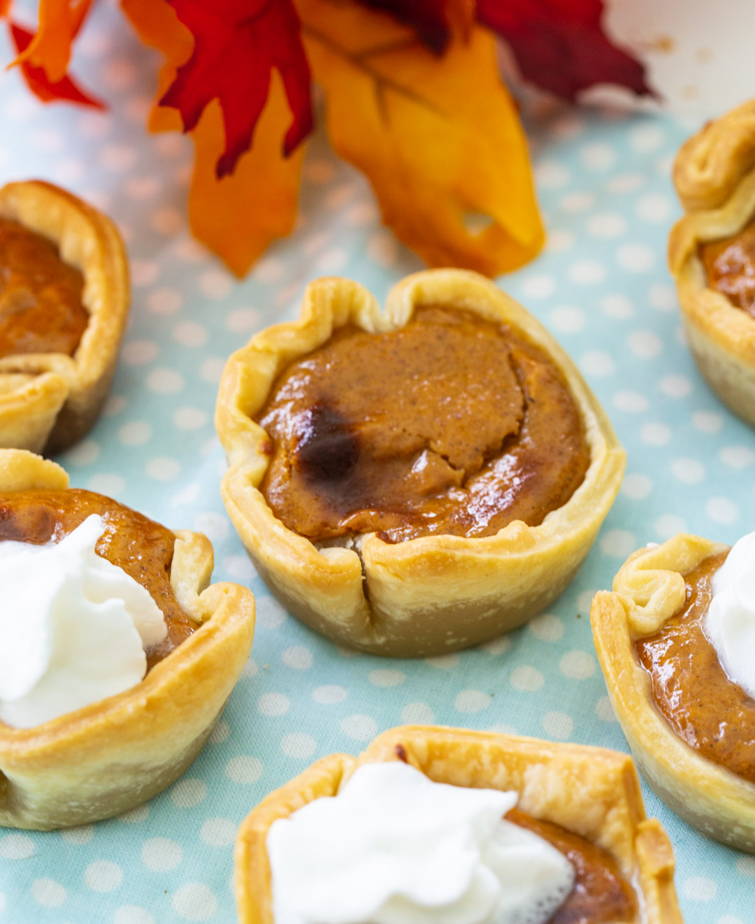 Air Fryer Mini Pumpkin Pies topped with whipped cream.